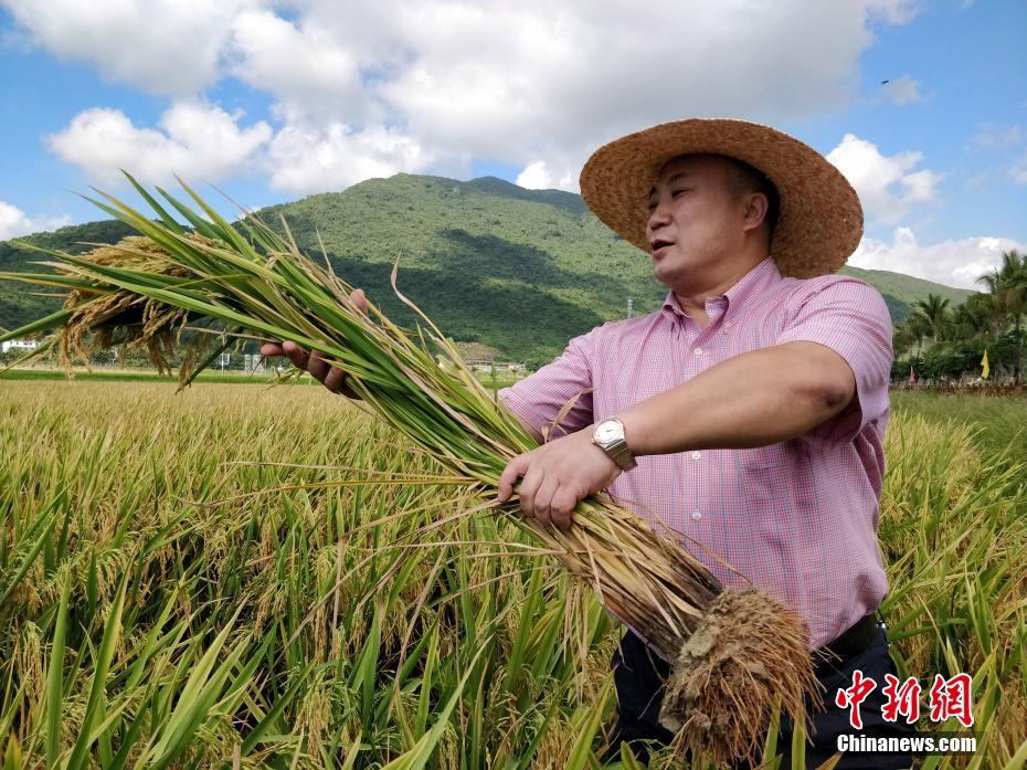 互联网大厂接连入局造车 最大挑战是什么？